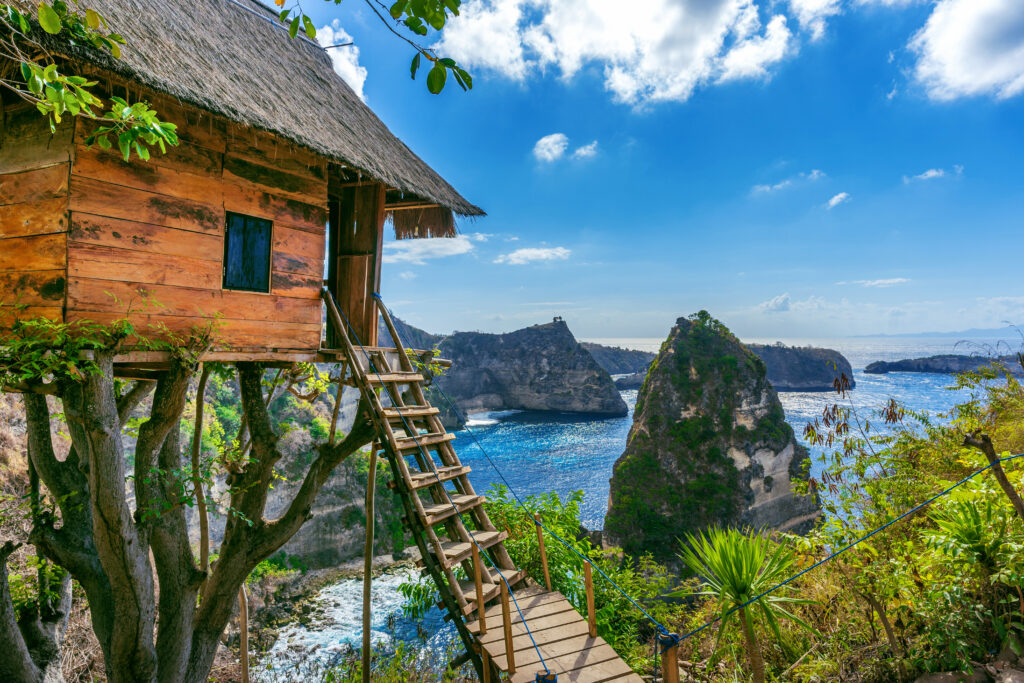 Tree house and Diamond beach in Nusa penida island, Bali in Indo