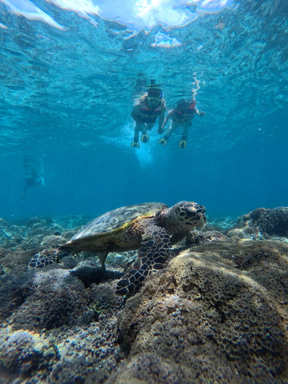 Gili Islands