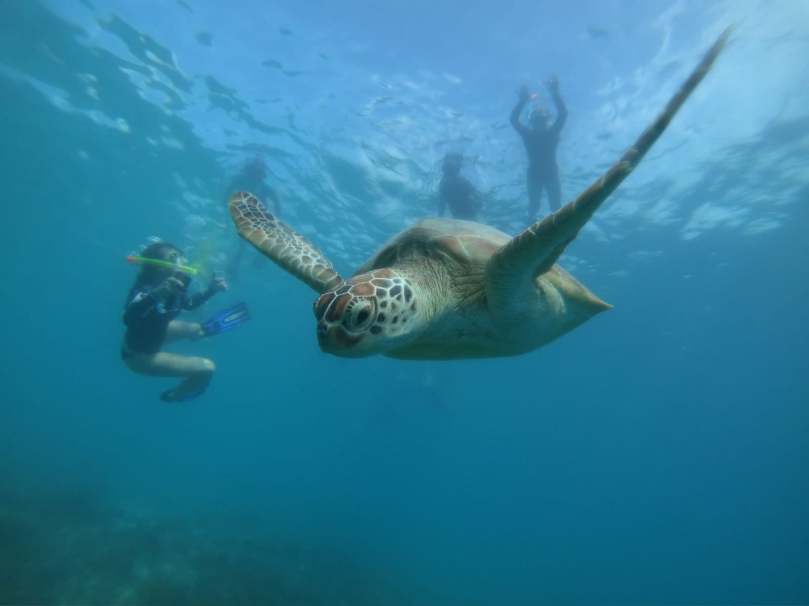 Gili Islands